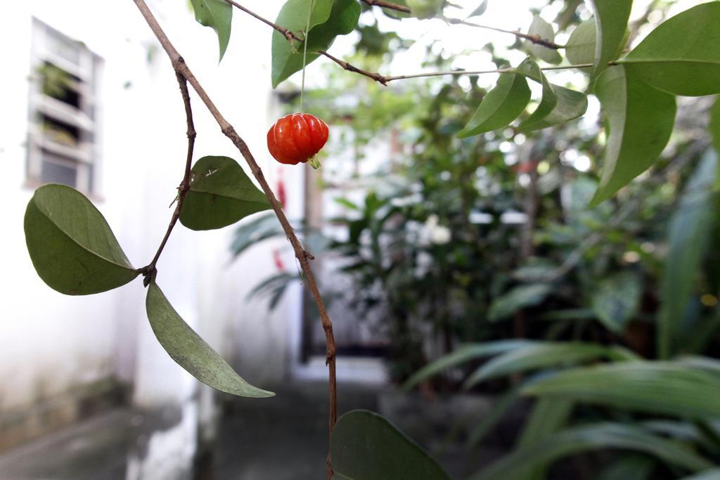 Casa Em Meio A Natureza - Ideal Para Casal Rio de Janeiro Ngoại thất bức ảnh
